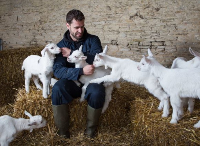 Other image for TV cameras spring into Cannon Hall Farm for new series
